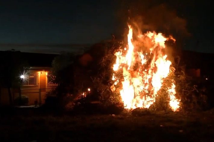 Plena inclusión Cabeza del Buey participa en la fiesta de la Candelaria