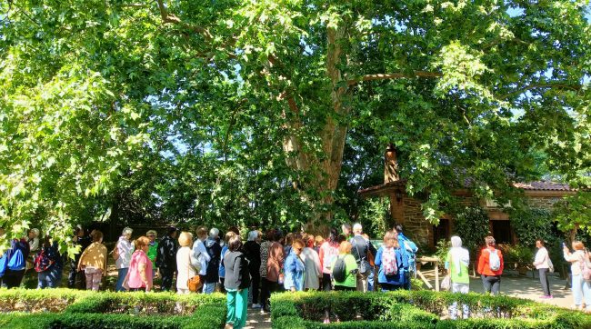 Medio millar de personas mayores participarán en el programa de Adenex 'Extremadura verde en la mirada'