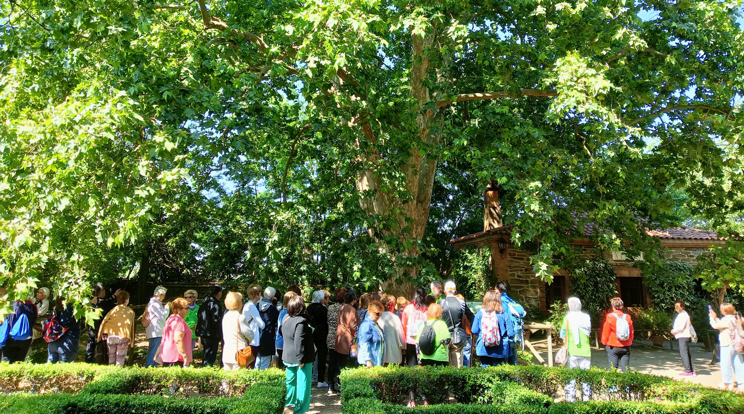 Medio millar de personas mayores participarán en el programa de Adenex 'Extremadura verde en la mirada'