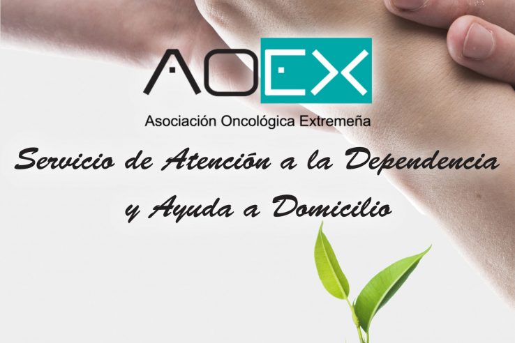 La Asociación Oncológica Extremeña organiza la jornada 'Atención a personas dependientes en cuidados paliativos'