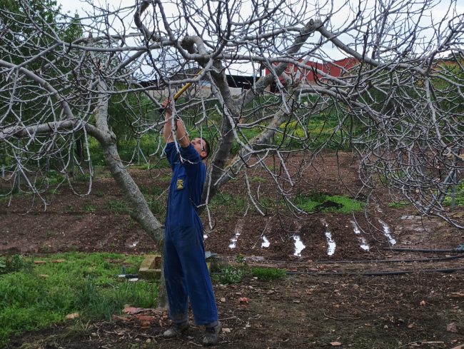 Personas con discapacidad de La Serena se forman en Horticultura y Floricultura