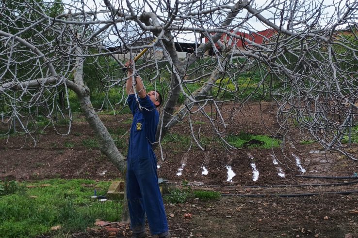 Personas con discapacidad de La Serena se forman en Horticultura y Floricultura