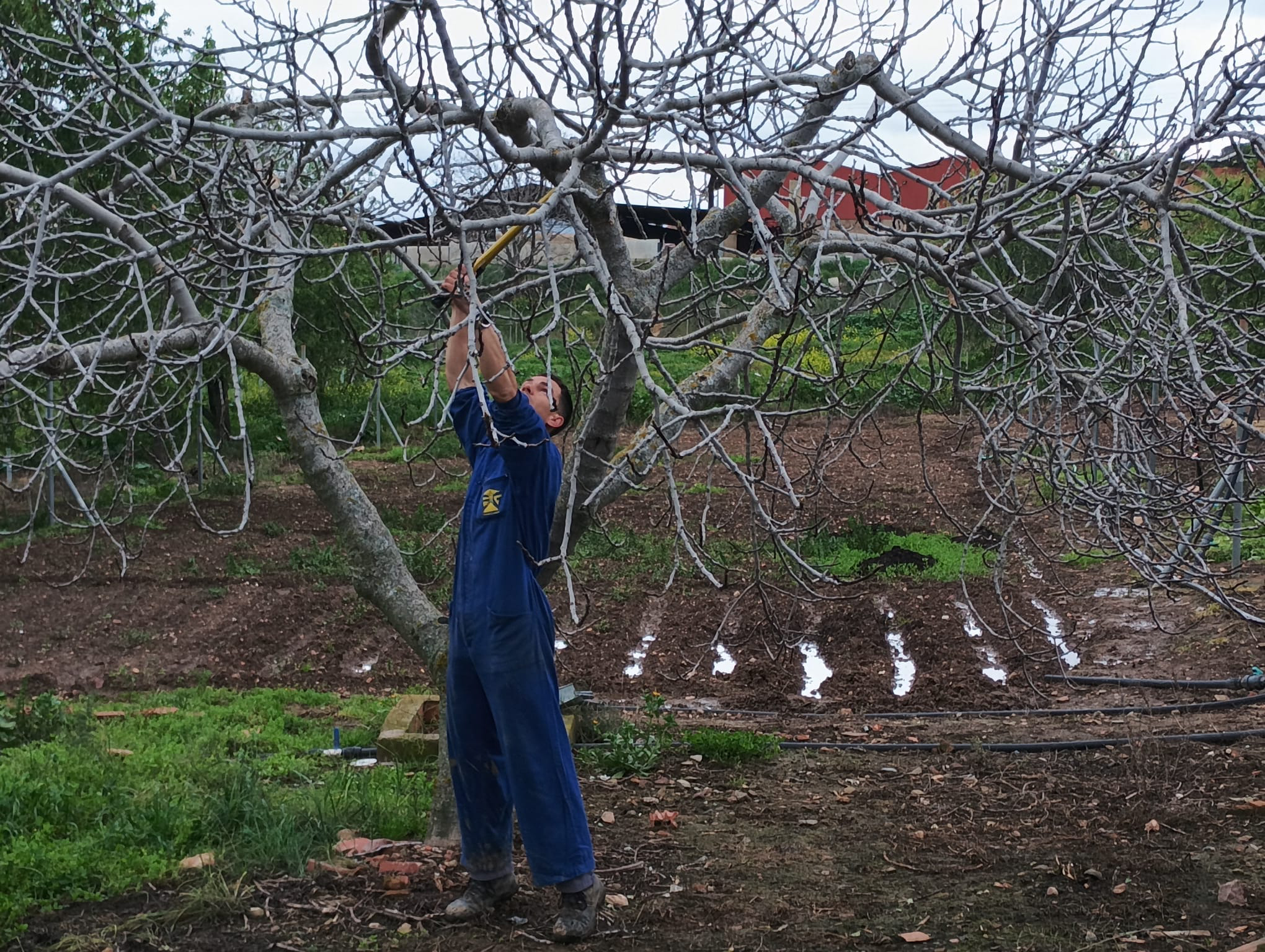 Personas con discapacidad de La Serena se forman en Horticultura y Floricultura