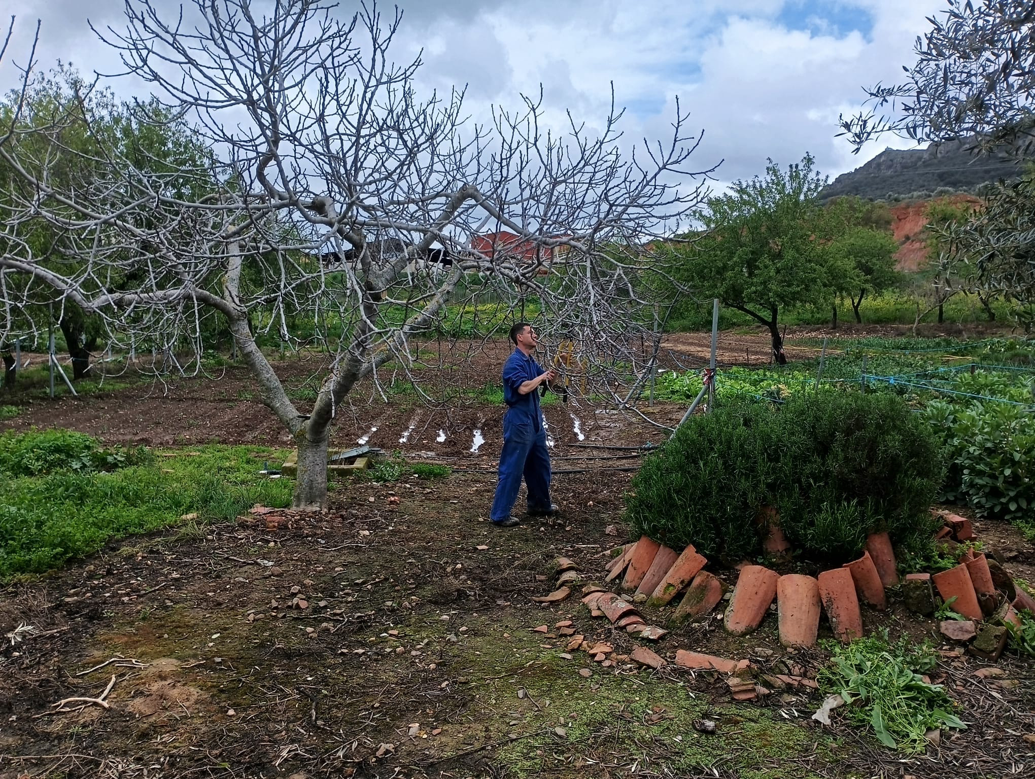 Personas con discapacidad de La Serena se forman en Horticultura y Floricultura