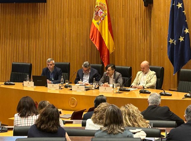 El Cermi y el Comité Paralímpico Español presentan un decálogo para impulsar el deporte de personas con discapacidad