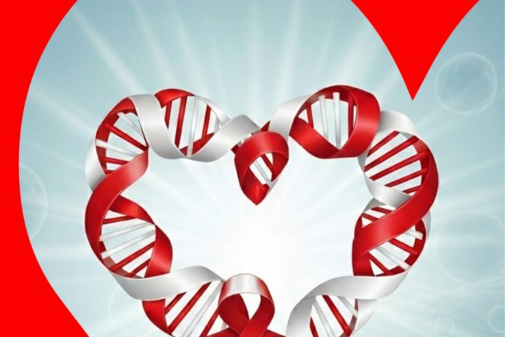 Extremadura lidera en donación de médula ósea y se une a la conmemoración del Día Mundial del Donante