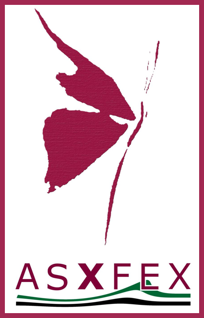 La Federación Española de Síndrome X Frágil reclama mayor atención y recursos