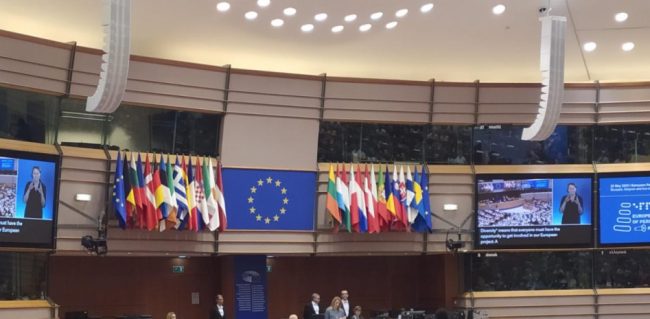 El Foro Europeo de la Discapacidad aprueba un manifiesto sobre las elecciones europeas de 2024